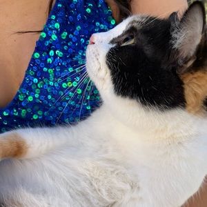 Meet your Posher, Olivia